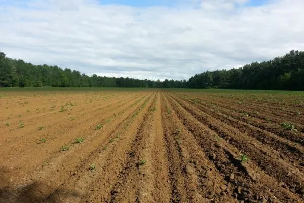 Farm