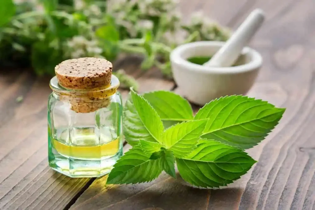 What Are Essential Oils