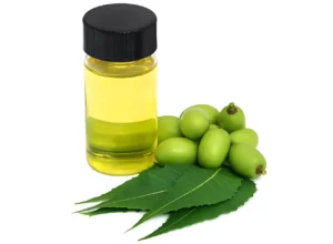 Neem Oil