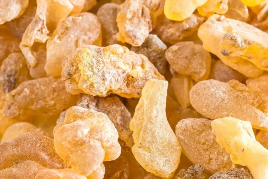 Top 10 Health Benefits of Shallaki (Boswellia Serrata)