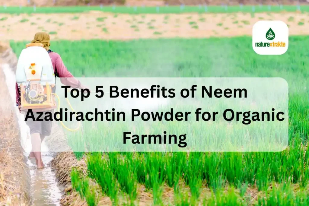 Top 5 Benefits of Neem Azadirachtin Powder for Organic Farming