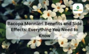 Bacopa Monnieri Benefits and Side Effects_ Everything You Need to Know