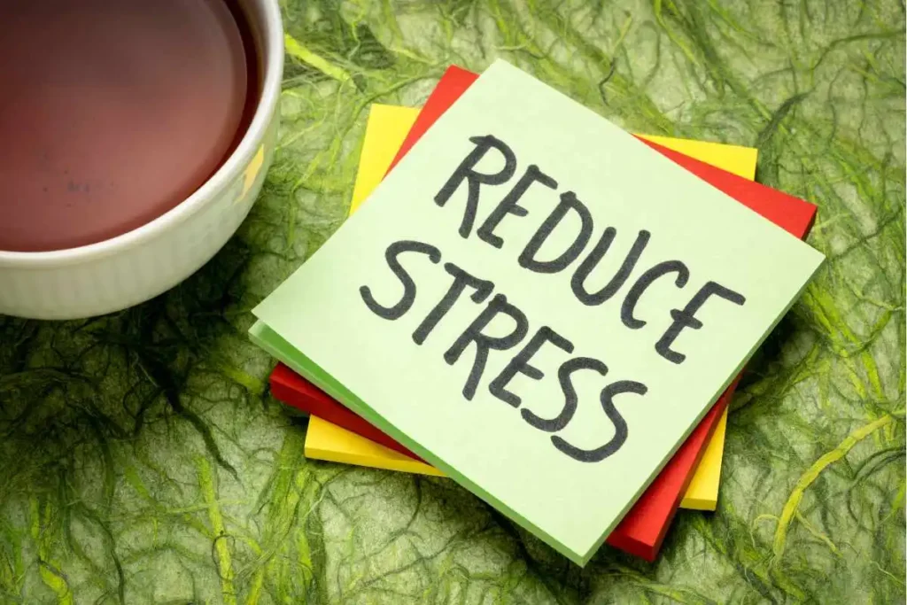 How Tulsi Extract Helps Reduce Stress