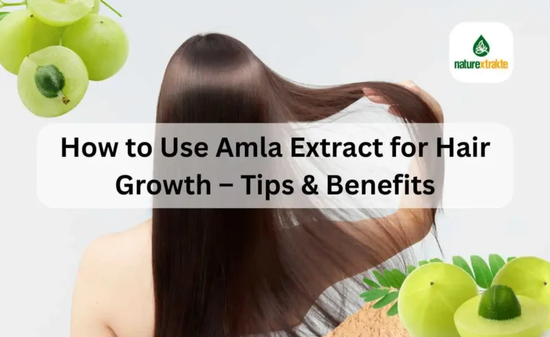 How to Use Amla Extract for Hair Growth – Tips & Benefits