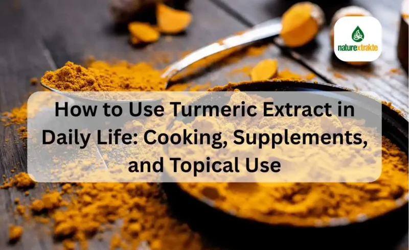 How to Use Turmeric Extract in Daily Life Cooking, Supplements, and Topical Use