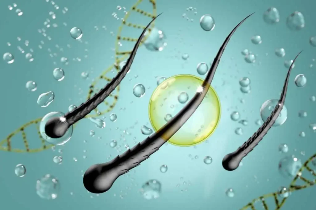 Key Amla Extract Benefits for Hair