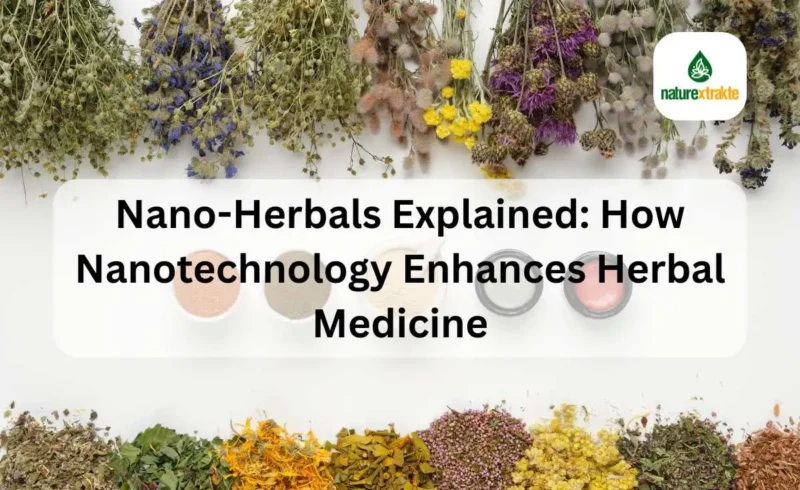 Nano-Herbals Explained How Nanotechnology Enhances Herbal Medicine