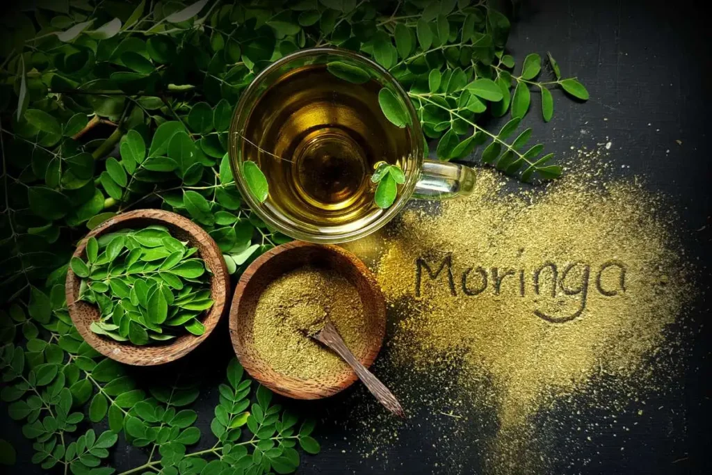 What is Moringa Extract