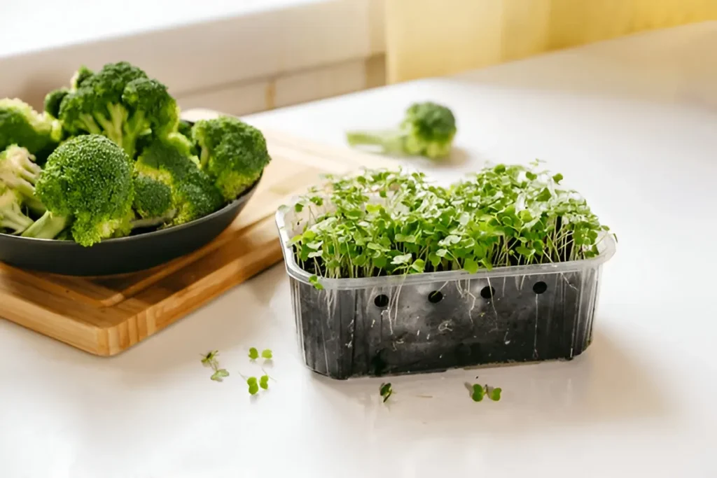 Phytochemicals