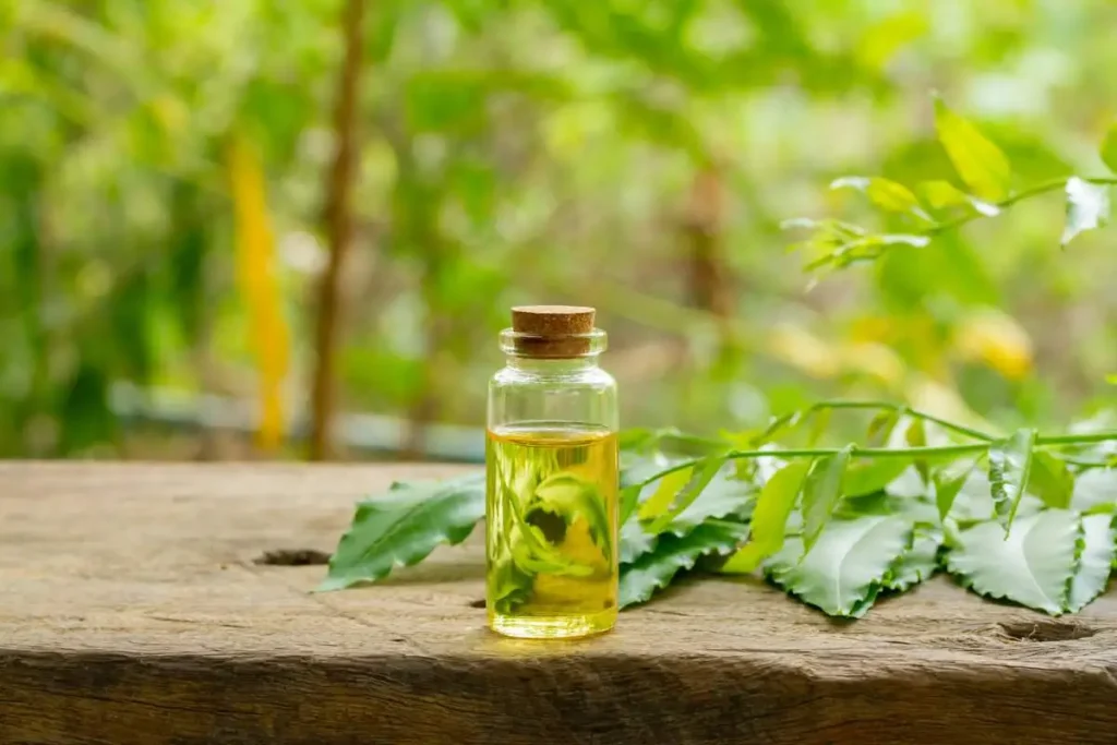 Best Neem Oil for Plants