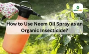How to Use Neem Oil Spray as an Organic Insecticide