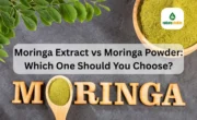 Moringa Extract vs Moringa Powder
