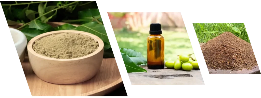 Neem Products