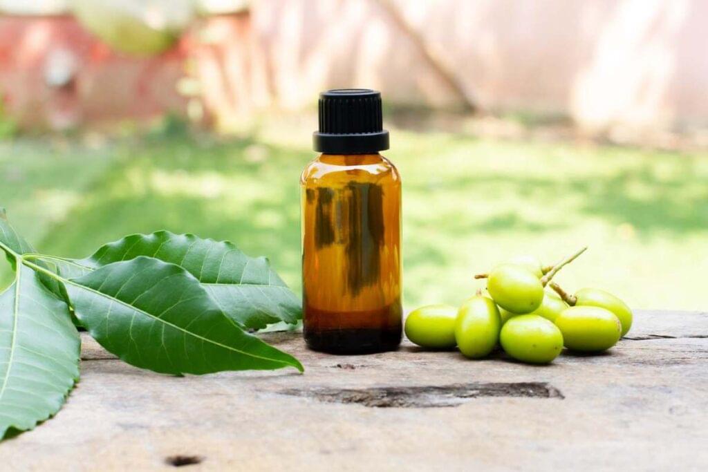 What Is Neem Oil