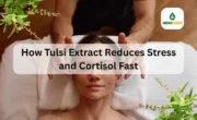 How Tulsi Extract Reduces Stress and Cortisol Fast