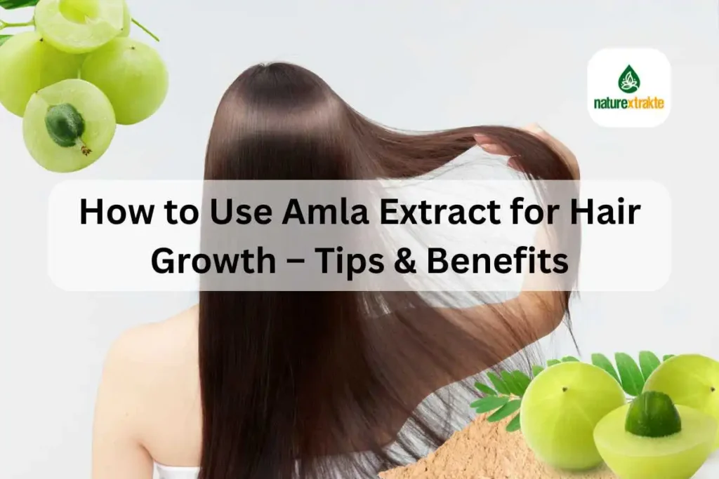 How to Use Amla Extract for Hair Growth – Tips & Benefits