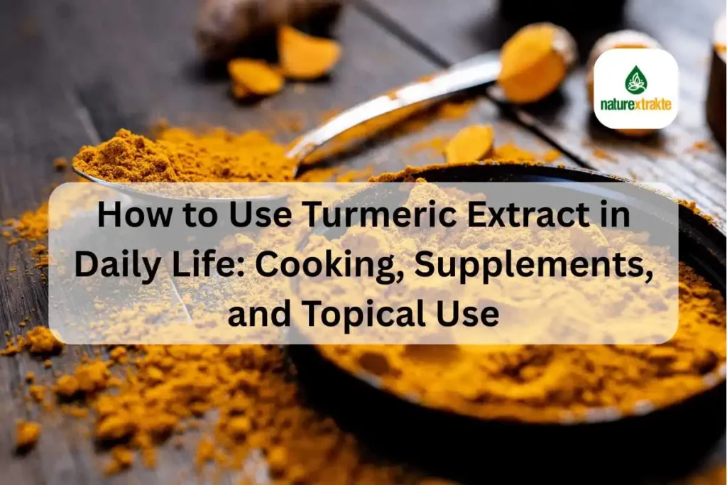 How to Use Turmeric Extract in Daily Life?