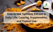 How to Use Turmeric Extract in Daily Life Cooking, Supplements, and Topical Use