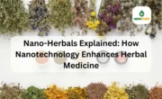 Nano-Herbals Explained How Nanotechnology Enhances Herbal Medicine