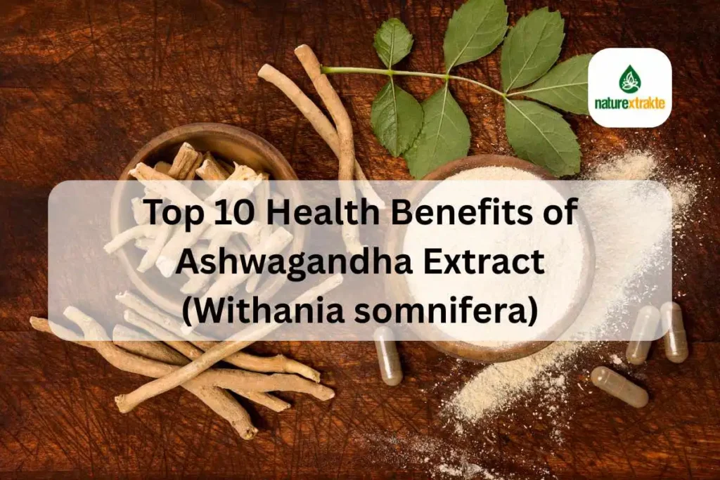 Top 10 Health Benefits of Ashwagandha Extract (Withania somnifera)