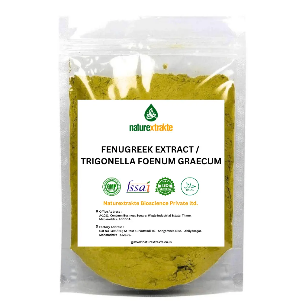 Fenugreek Extract _ Trigonella Foenum Graecum