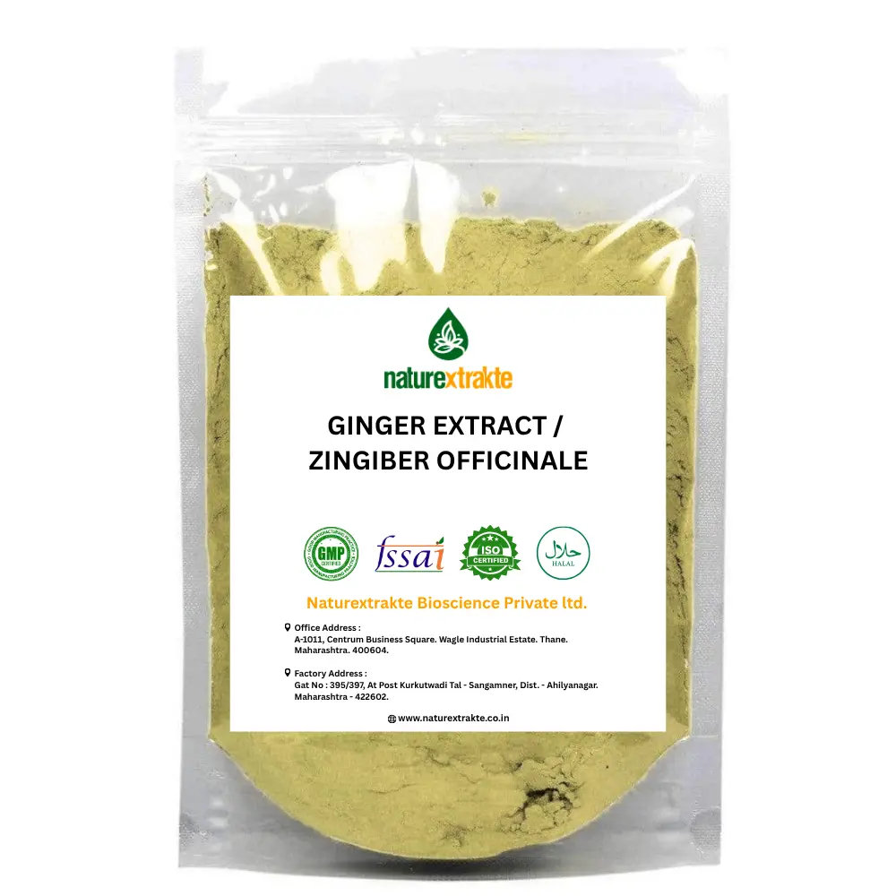 Ginger Extract _ Zingiber Officinale