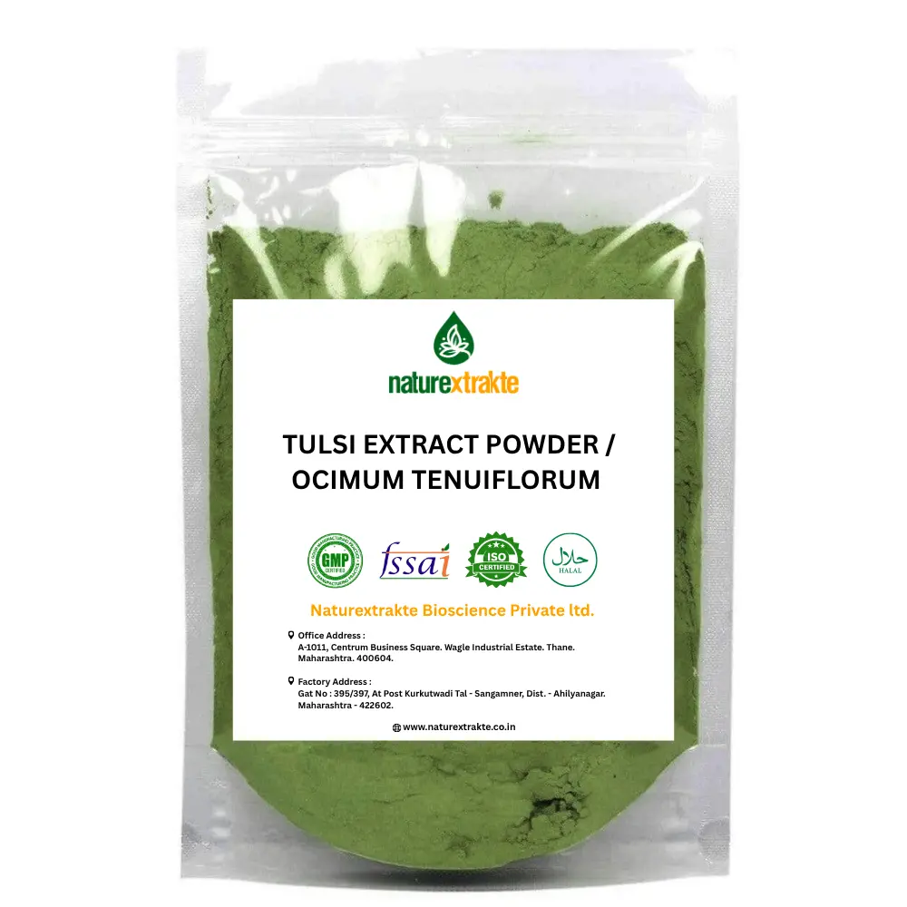 Tulsi Extract Powder Ocimum Tenuiflorum Extract
